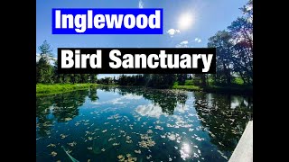 Inglewood Bird Sanctuary