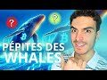  ces baleines achtent ces cryptos en secret  on les espionne 