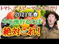 【極上品でました】２０２１年夏野菜種　蒔くならこれしかありません【初心者】【ガーデニング】【トマト】【ナス】【ピーマン】【きゅうり】【家庭菜園】