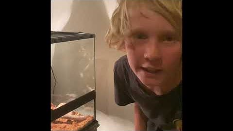 Bitten by my pet killer Stimson python