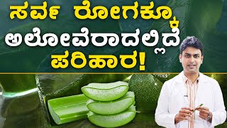 Amazing Uses for Aloe Vera | ಅಲೋವೆರಾ ಜ್ಯೂಸ್‌ನ ಲಾಭಗಳು ಗೊತ್ತಾದರೆ ದಿನಾ ಕುಡೀತೀರಿ! | Vijay Karnataka