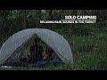 Solo Camping: Kenikmatan Hujan di Sore Hari, Api Unggun, ASMR, Relaxing