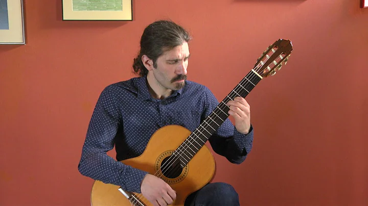 Passacaglia (Franz Burkhart) - guitar by Petruzio ...