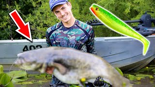 We thought its a MONSTER CATFISH - Spin fishing at the Bohemian River (Pike, Perch, Catfish)