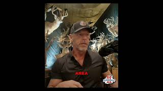 Deer Baiting Secrets: How to Hunt Like a Pro & Get Big Bucks #shorts