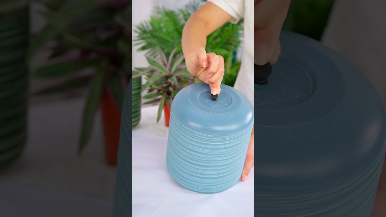 Handcrafted beauty meets plant care! 🪴 Watch how easy it is to transplant your favorite plants! ✨