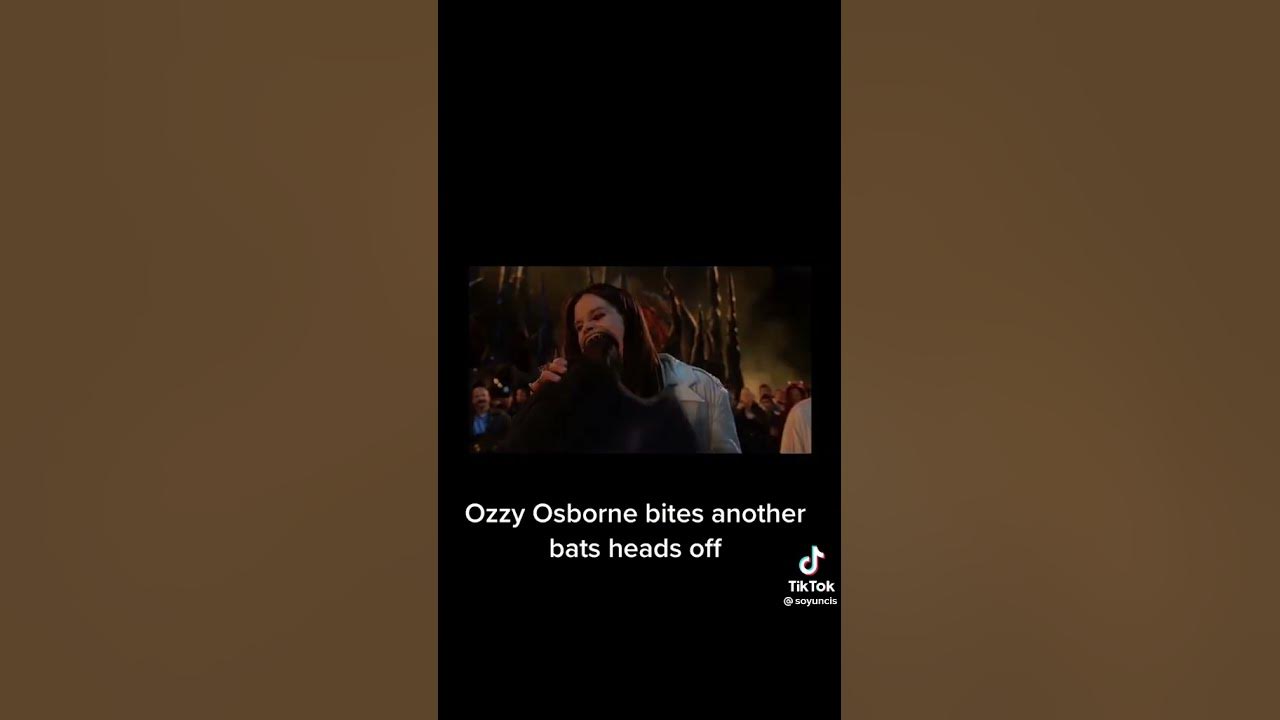 ozzy osbourne bit a bats head off