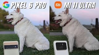 Pixel 6 Pro vs Mi 11 Ultra Camera Comparison