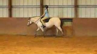 Flat work lessons