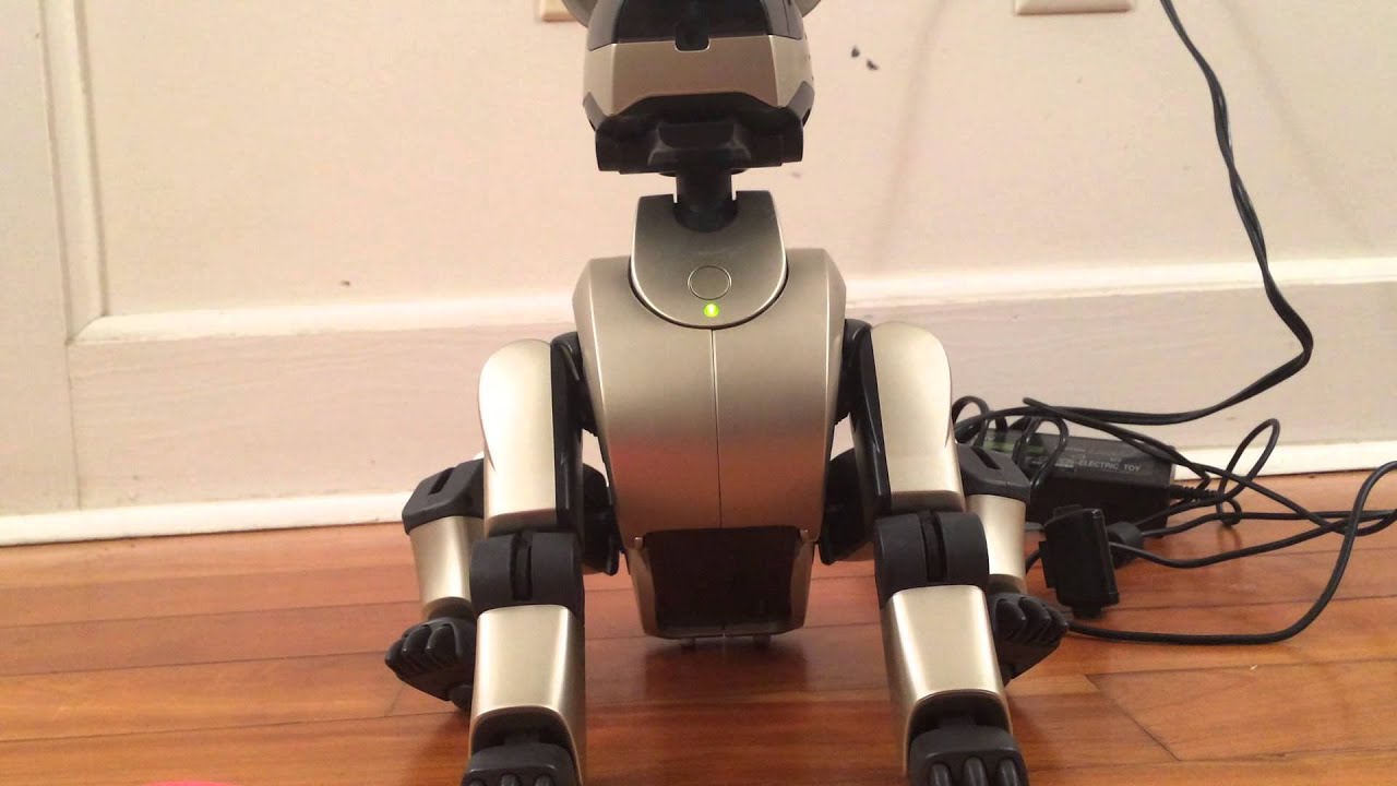 【大幅値下げ中✨️ SONY AIBO　ERS-210 修理済み！✨️ 正常動作 Sony aibo ers-210 start up and playing with aibo explorer