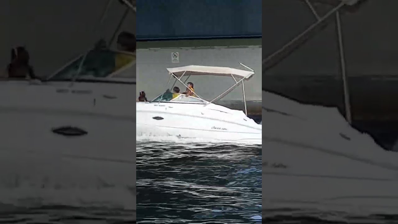  Miami Live Short Video 3174