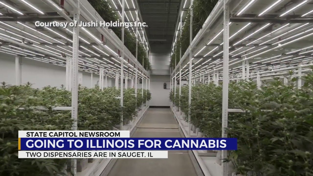 Going to Illinois for cannabis