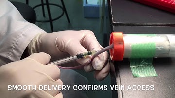 How to do intravenous tail injection in mouse