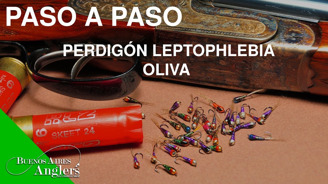 Atando un Perdigón Leptophlebia Oliva