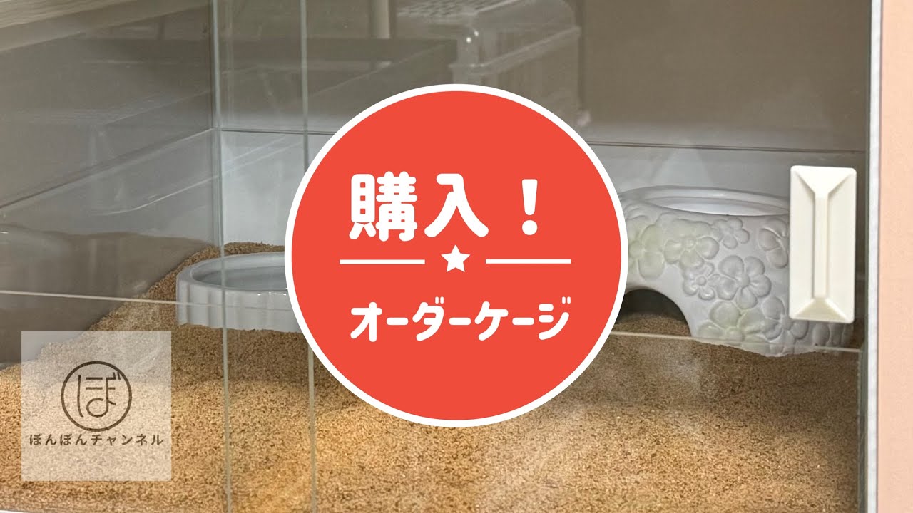 FandKさんでオーダーケージ買ってみた！