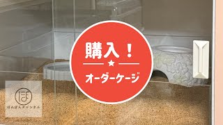 FandKさんでオーダーケージ買ってみた！ - YouTube