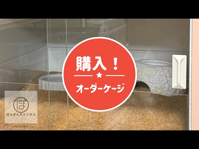 FandKさんでオーダーケージ買ってみた！ - YouTube
