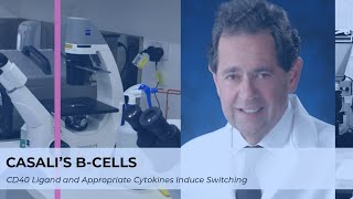 Paolo Casali's B-Cells