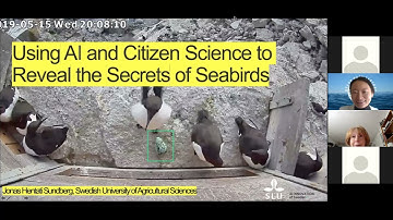 Ocean Data Factory Sweden Webinar - Using AI and Citizen Science to Reveal the Secrets of Seabirds