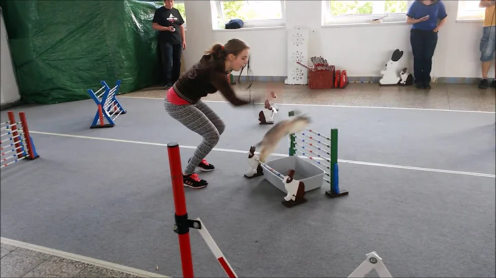 Bunny Hopping Competition