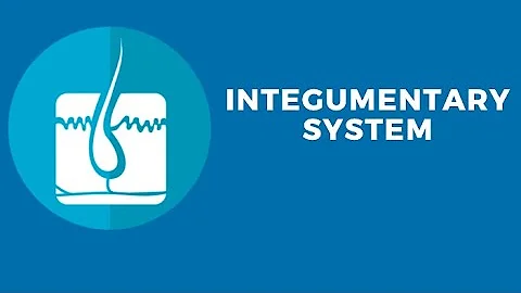 Integumentary System  Part 2