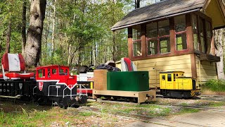 Logging at the Adirondack Live Steamers track