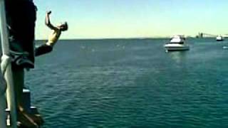 Back flip Off Jetty