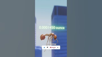 What Happens If You Drop an Ant From the Empire State Building?"#shorts