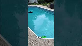 Pool Cleaner Battery Life: 5 Hours of CLEANING Power!
