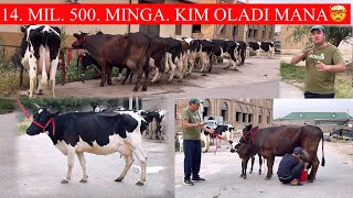 JASURBEK😱F🏃XALI BUNAQA ARZON BOʻLMAGAN,🤯🥛SUT EMDINI NARXIDA SGIR B💥YANGI P ONA BOLA SGIRLAR K