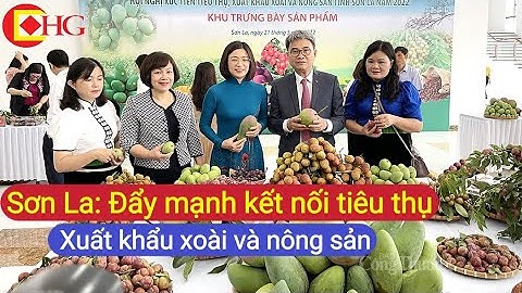 Sơn La: Đẩy mạnh kết nối tiêu thụ, xuất khẩu xoài và nông sản | CHG 24/5/2022 HD