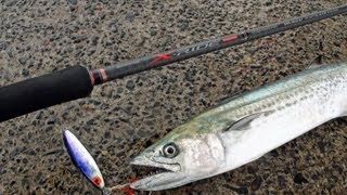 堤防からジグを投げれば"釣れる"。