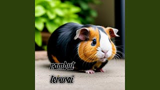 Download Lagu rambut terurai MP3 Download Lagu rambut terurai MP3