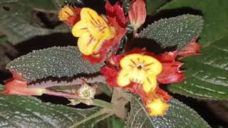 Download Lagu Rita Sugiarto full album  MP3