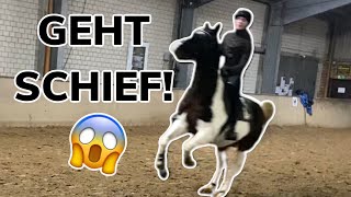 ERSTES MAL SPRINGEN MIT WESTERNPFERD GEHT SCHIEF!!!😱😱