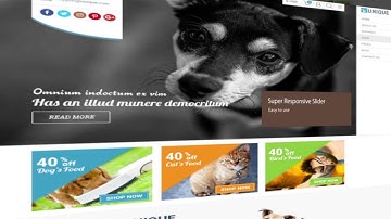 Prestashop Theme PET ECOMMERCE TEMPLATE INCLUDED IN EVRIKA