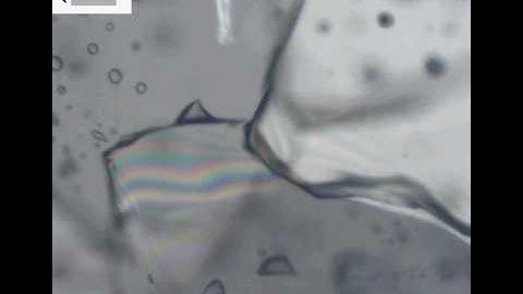 Fluid enhanced grain boundary migration (enhanced resolution)