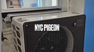 NYC Window Air Conditioner Heater - The Midea Window Heat Pump 9000 MAH09H1AGR Net Worth