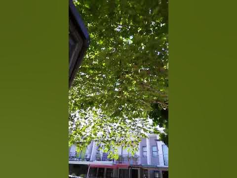 alatiris - YouTube