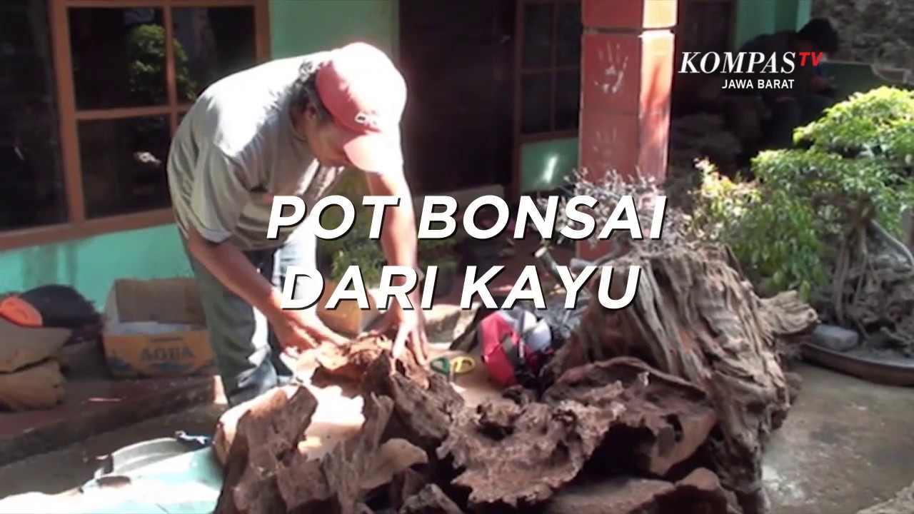  Pot  Bonsai  Dari Kayu  YouTube