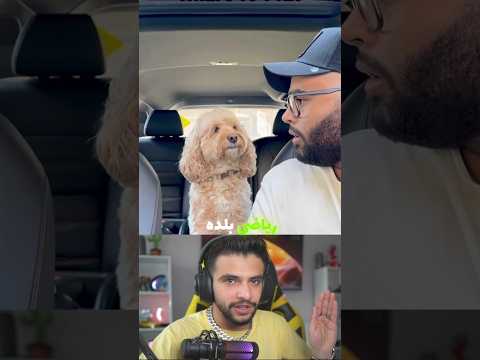 این سگ ریاضی بلنده 2 3 5
