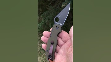 Spyderco Para 3