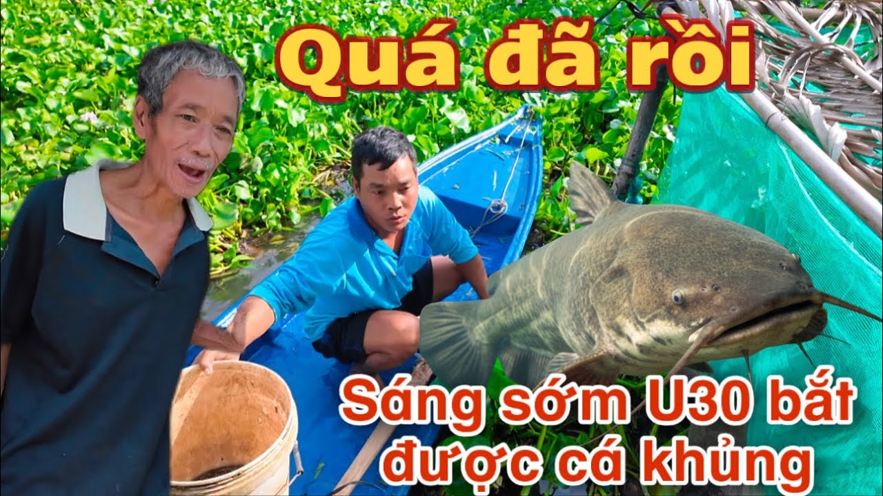 Bất ngờ sáng sớm U30 bắt được cá trê khủng ai cũng nhạc nhiên vì điều này #u30 