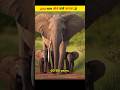 ऐसे animals जो 200 years तक जीते है | #shorts