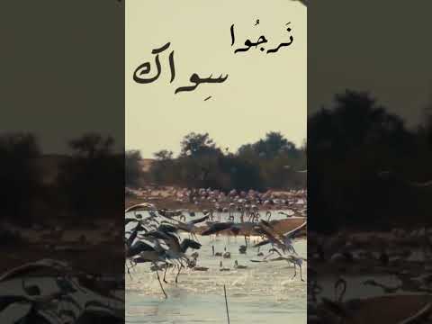 ذنوبي مثل أعداد الرمال موسيقى حزينة جدا 