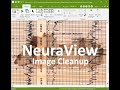 NeuraView Image Cleanup for Scanned TIFF Logs