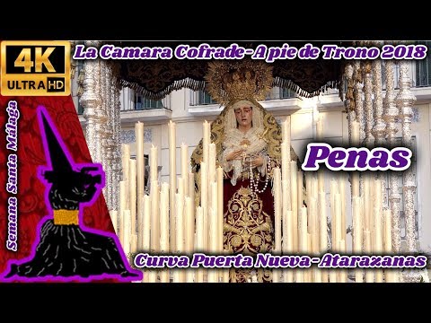 Venerable Hermandad de la Caridad en Cristo Nuestro Señor y Cofradía de Nazarenos del Santísimo Cristo de la Agonía, María Santísima de las Penas, Reina y Madre, y Santo Domingo de la Calzada