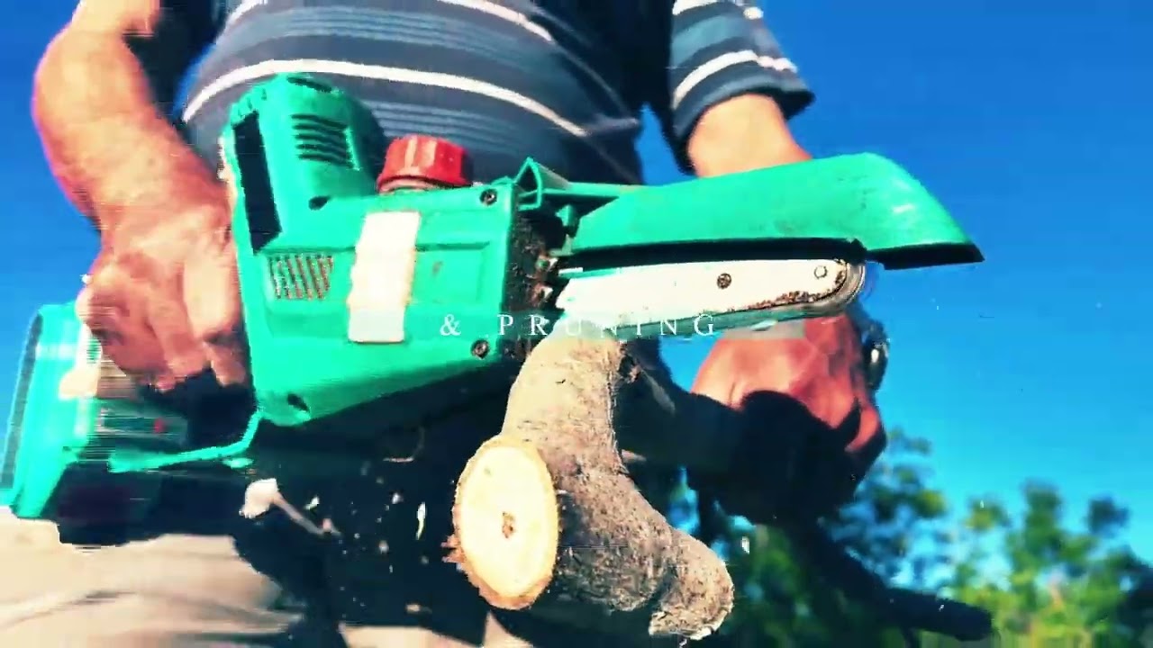 615 Trees: Elevating Safety and Beauty as Nashville’s Leading Tree Cutting & Removal Company