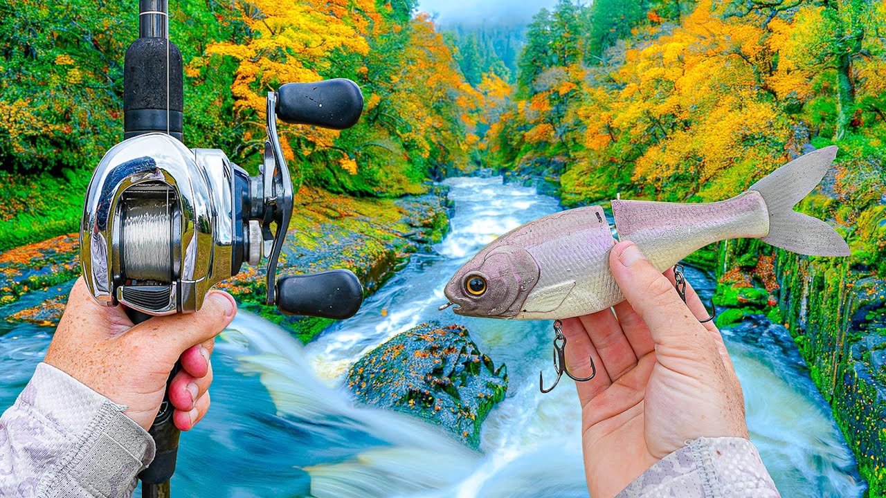 Охота на окуня на реке (лучшие наживки)