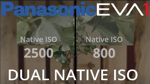 Panasonic Dual Native ISO Explained